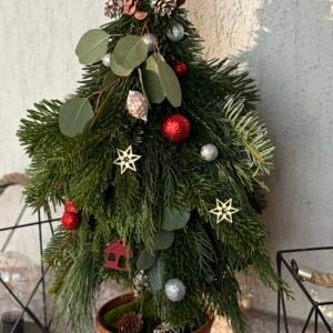 Bradut de Craciun in ghiveci