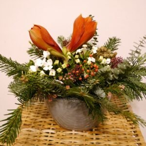 Ecouri de Iarnă în Petale de Amaryllis