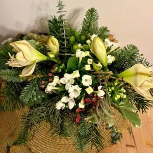 Aranjament „White Winter Bloom” cu Amaryllis