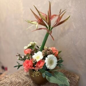 Aranjament de iarna pentru Sf Ion cu amarylis si garoafe