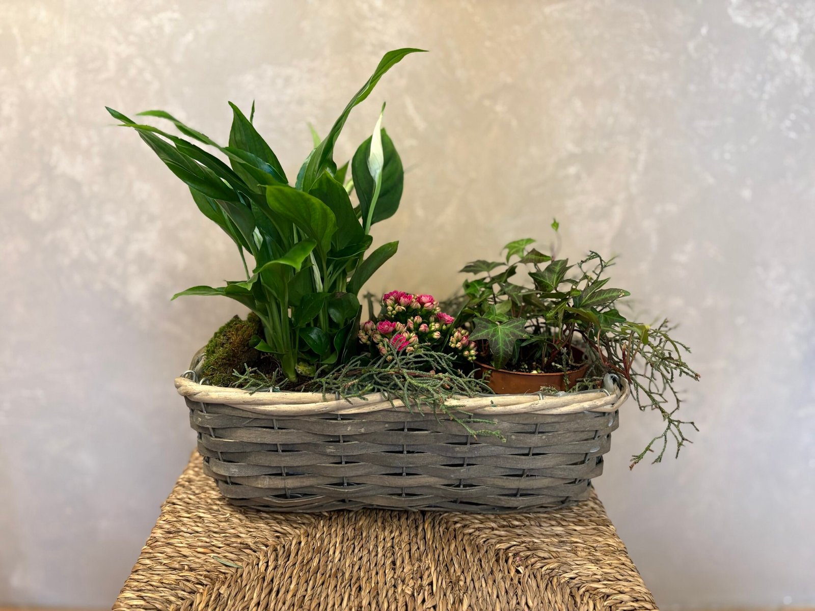 Aranjament cu plante naturale „Colț de verde”