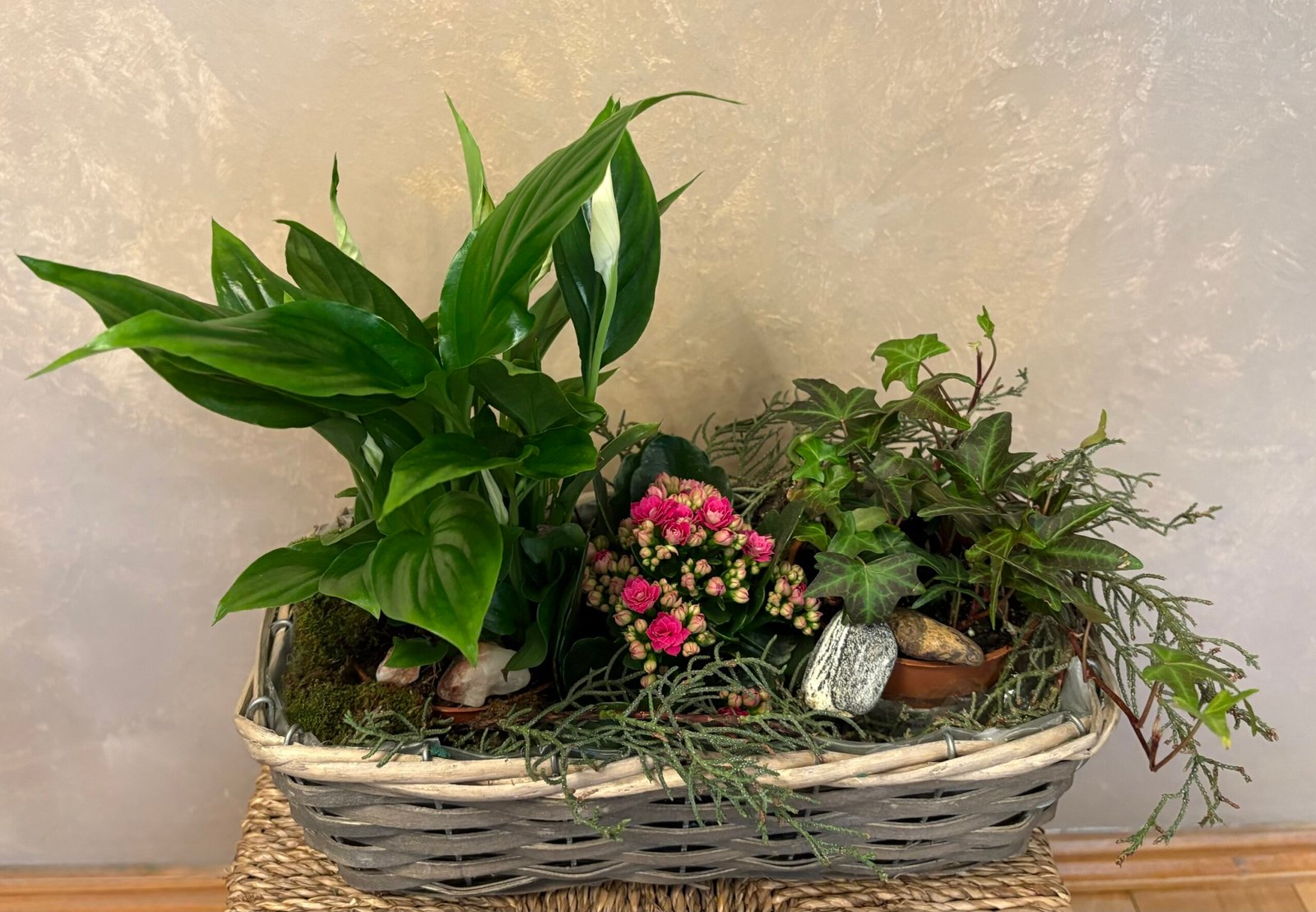 Aranjament cu plante naturale „Colț de verde” - imagine 2