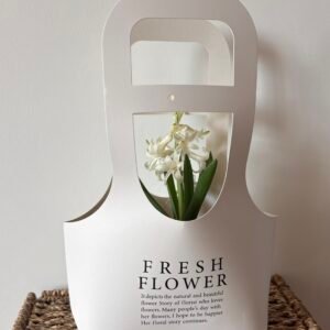 Zambilă în Săculeț