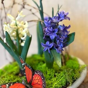 Colț de Primăvară