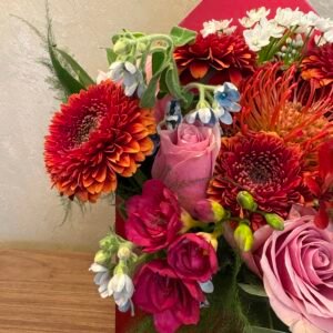 Scrisoare de Primăvară